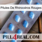 Pilules De Rhinocéros Rouges viagra3